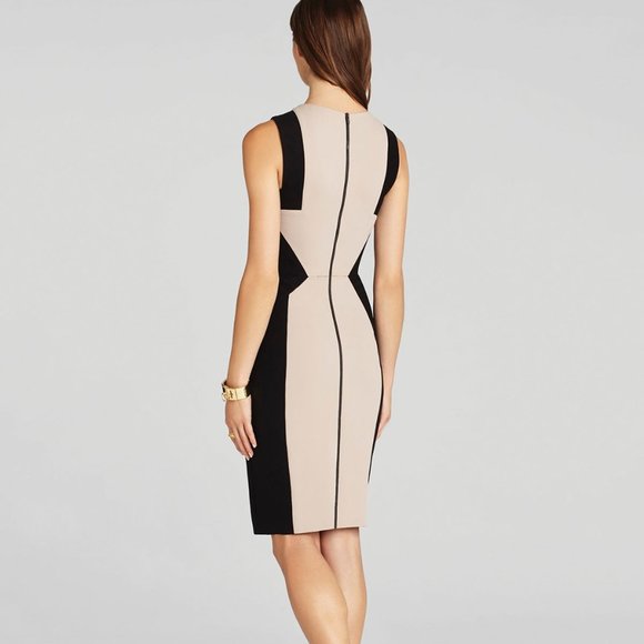 BCBGMaxAzria Evelyn SoyChai Nude & Black Dress - Picture 2 of 6